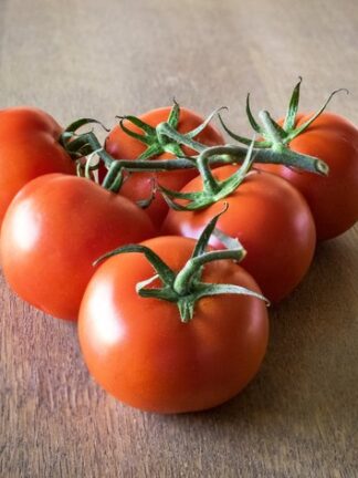 Tomatoes